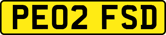 PE02FSD