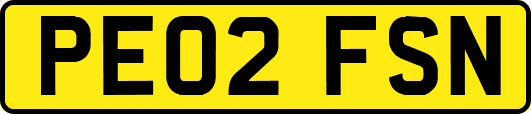 PE02FSN