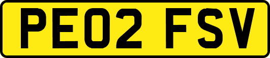 PE02FSV