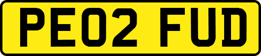 PE02FUD