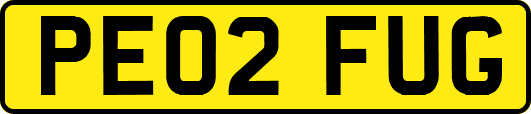 PE02FUG