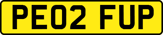 PE02FUP
