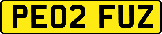PE02FUZ