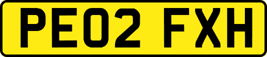 PE02FXH