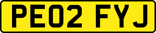 PE02FYJ