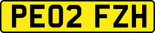 PE02FZH