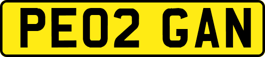 PE02GAN