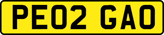 PE02GAO