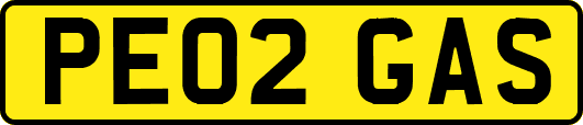 PE02GAS