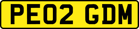 PE02GDM