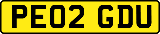PE02GDU