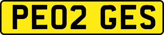PE02GES