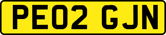 PE02GJN