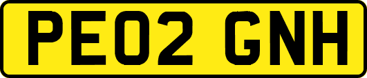 PE02GNH