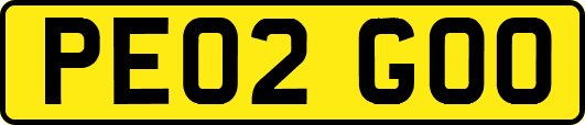 PE02GOO