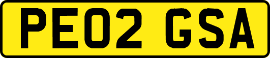 PE02GSA