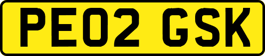 PE02GSK