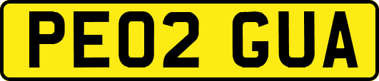 PE02GUA