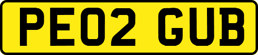 PE02GUB