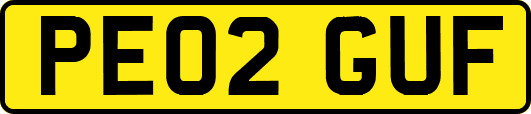 PE02GUF