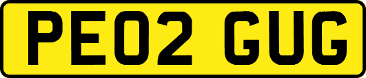 PE02GUG