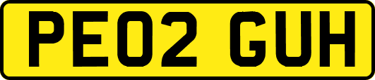 PE02GUH