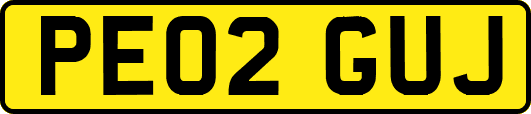 PE02GUJ