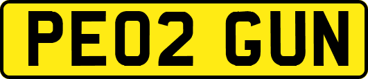 PE02GUN