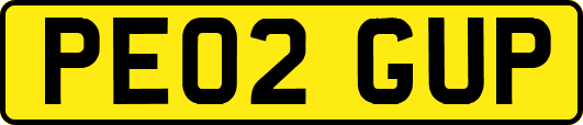 PE02GUP