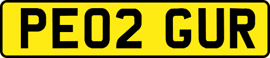 PE02GUR