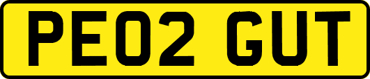 PE02GUT