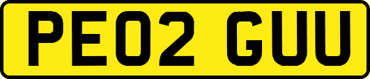 PE02GUU