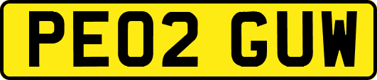 PE02GUW