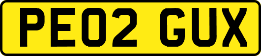 PE02GUX