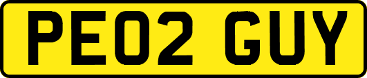 PE02GUY