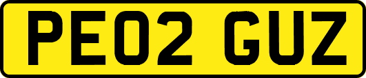 PE02GUZ