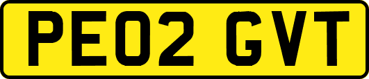 PE02GVT