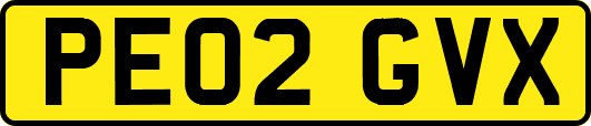 PE02GVX
