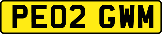PE02GWM
