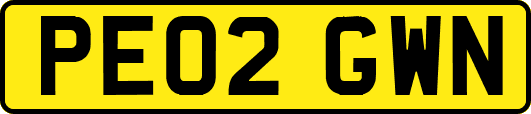 PE02GWN