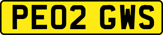 PE02GWS