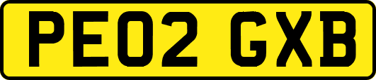 PE02GXB