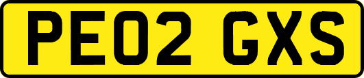 PE02GXS