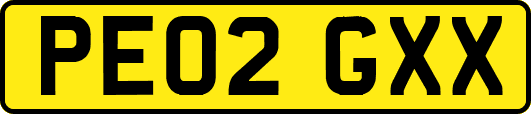 PE02GXX