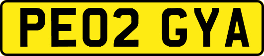 PE02GYA