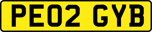 PE02GYB