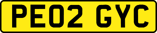 PE02GYC