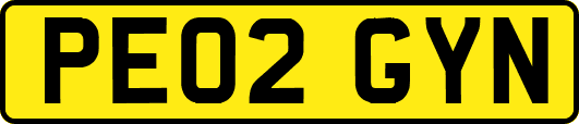 PE02GYN