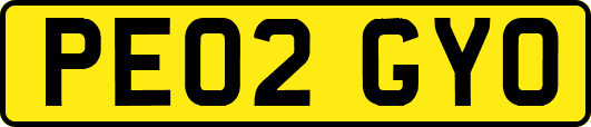 PE02GYO