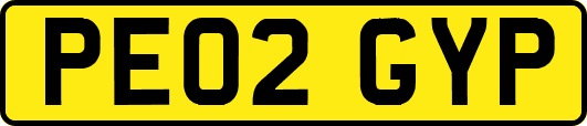 PE02GYP